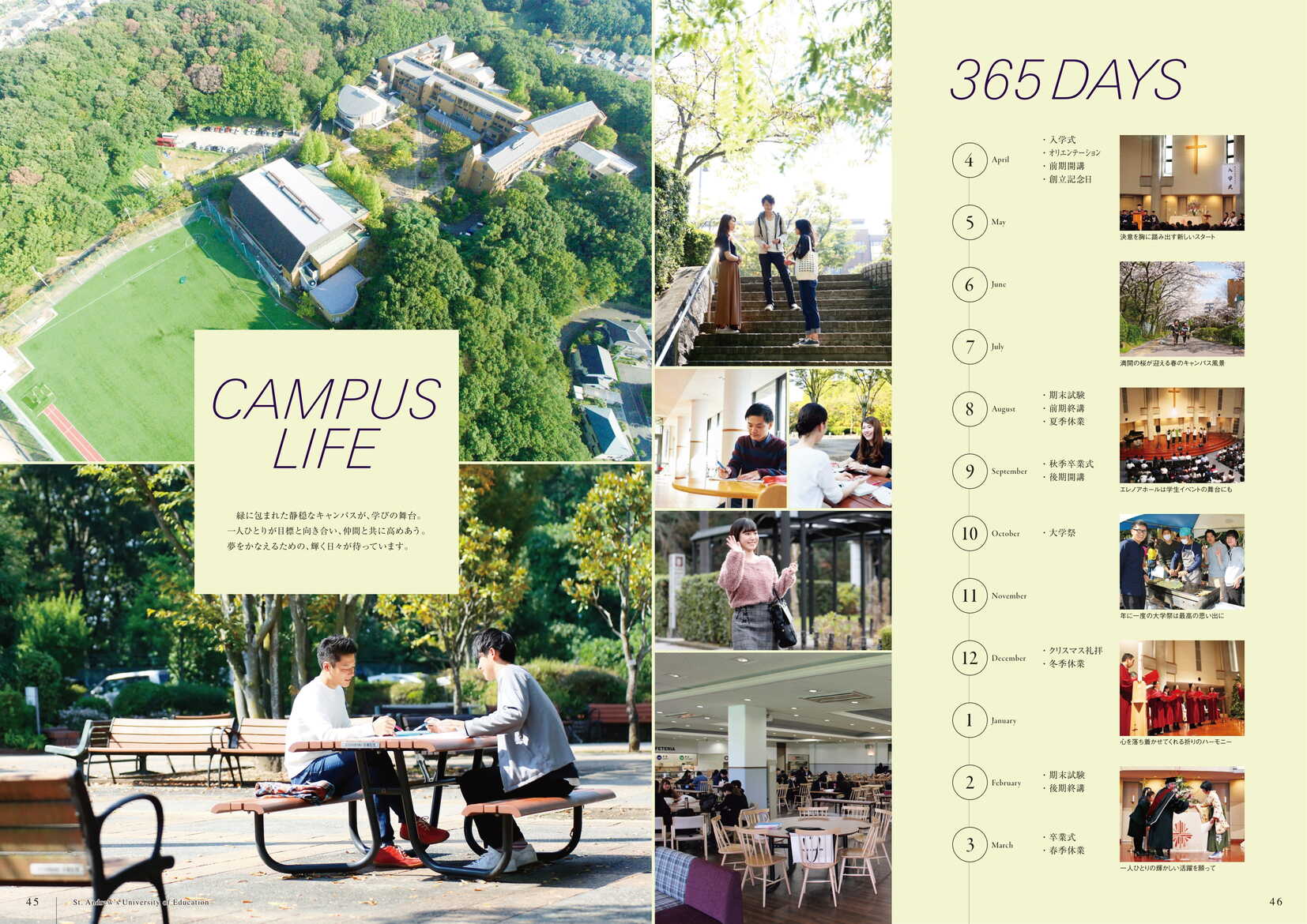 2019年度 桃山学院教育大学 学校案内